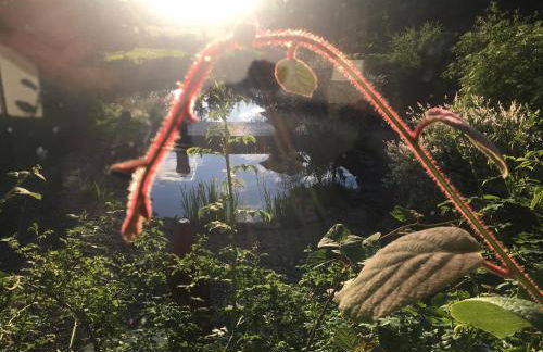 Forellenhof - Foto 39