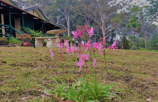 Wonboyn Lake Resort - Foto 41