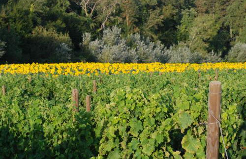 Casarciccia - Photo 39