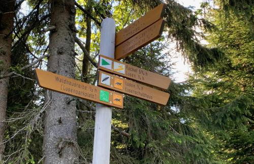 Bayerwaldnest - Foto 37