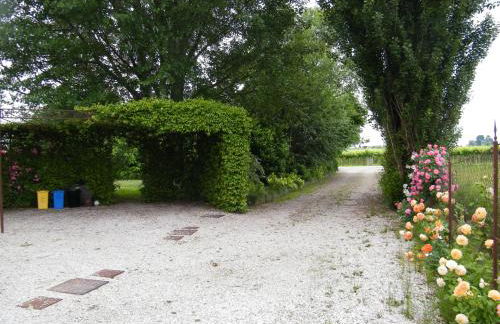 Il nido di rondine - Photo 24