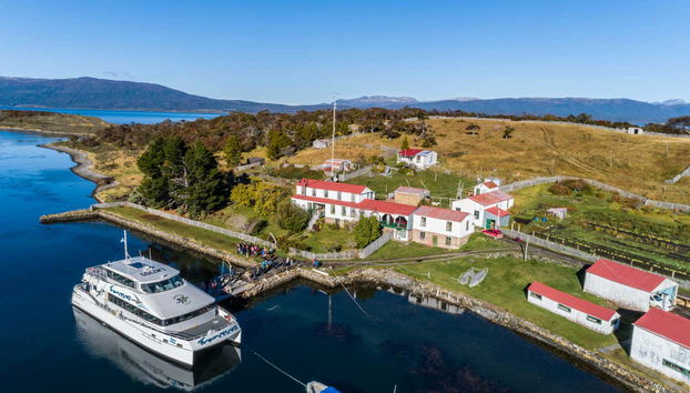 Pingüinera de isla Martillo + Paseo en barco por el canal Beagle - Foto 4