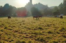 Ferienwohnungen AugenBlick 2 Naumburg - Foto 24