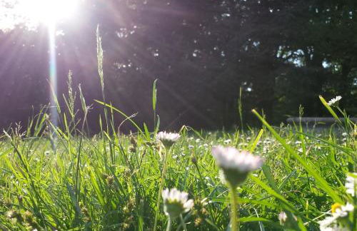 Agriturismo Villa Gropella - Foto 23