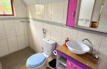 Casa dos Balões Aventura mágica em Atibaia - Foto 14