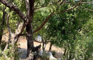 Villa La Petra - Foto 45