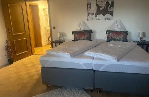 Idyllische Ferienwohnungen in Mossendorf Blick zur Naab - Foto 18