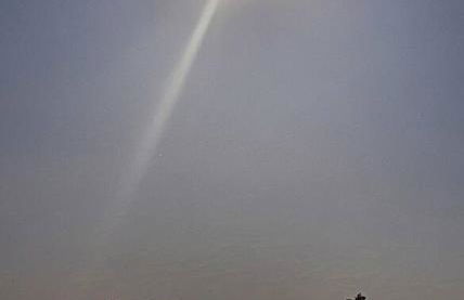 Trees of Heaven - Olive House - Foto 23