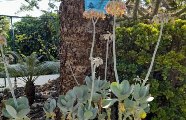 Villa Casa das Palmeiras - Foto 38