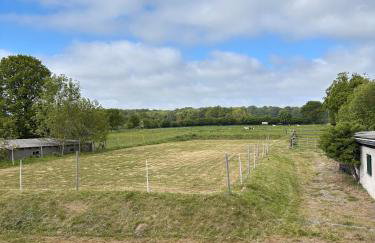 Gut Bennewohld - Foto 25