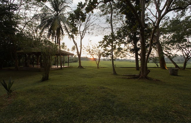 maya tangalle - Photo 30