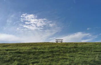 Ferienhaus-Elbdeichblick-Haselau - Foto 23