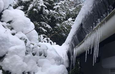 Schönwald Waldchalet am Musenberg - Foto 8