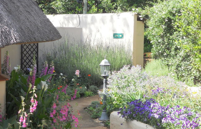 Granny Mouse Country House & Spa - Foto 44