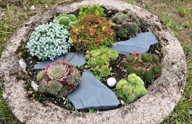 Grüne Villa - Foto 7