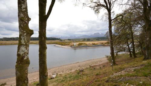 Tall Pines Apartment - Photo 3