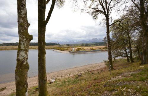 Tall Pines Apartment - Photo 3