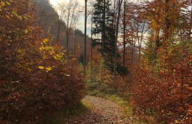 Chalet Hochgern - Photo 31