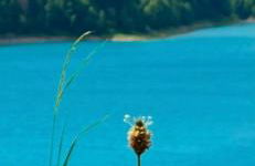 Lago Maina Appartamenti - Foto 28