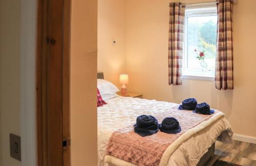 Pine Marten - Foto 17