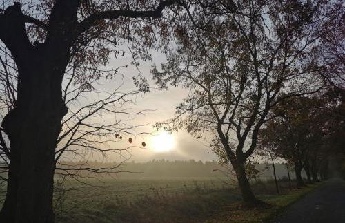 Ferienhof Timmerloher Heide - Foto 13