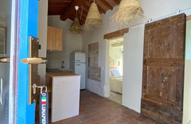 Monte Pino - Photo 7