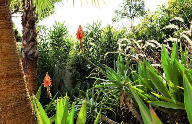 Charming Exceptional Villa in Algarve - Foto 32