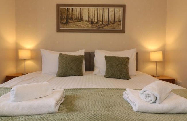 Angus House - Glasgow - Photo 2