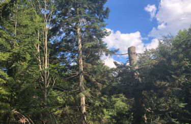 Ferienwohnung im Dreiländereck - Foto 14
