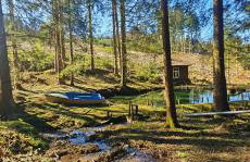 Ferienhaus VILLA ZAUBERBLICK am Rennsteig Frankenwald FREISTEHEND naturnah HUNDEFREUNDLICH eingezäunt - Foto 69