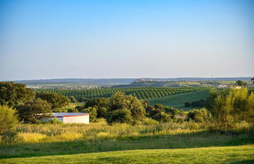 Monte da Vista Alegre - Foto 6