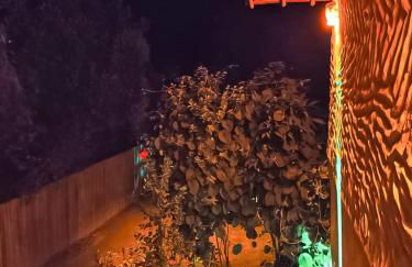 Bungalos Orion a 150 m Praia do Espelho - Foto 3