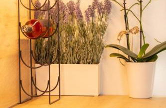 The Mint House - Alimos - Foto 16