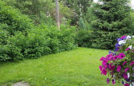 Ferienhaus Allgäu - Foto 9