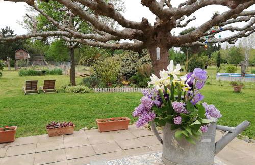 Roulotte en bois Sud France - Foto 27