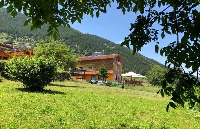 Zeren Pansiyon - Photo 42