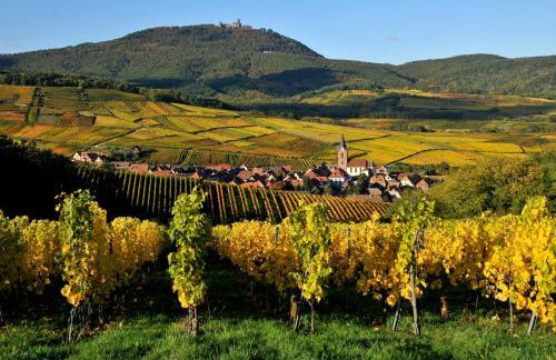 Gîte Marcel et Marianne jardin et parking privatifs - Foto 46