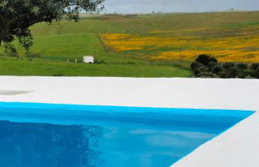 Canto da Planície - Foto 50