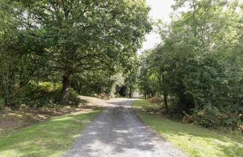 The Cow Shed - Foto 35