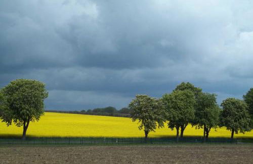 Ferienwohnung Batram - Photo 12