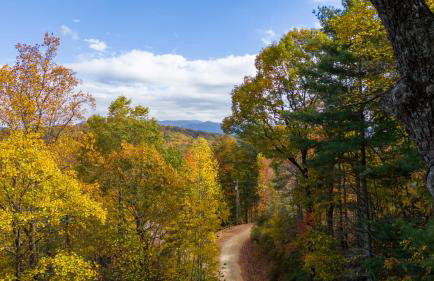 Quiet Ellijay Cabin 2 Master Ensuites, Stunning Views, Hot Tub, Dogs Welcome - Foto 39