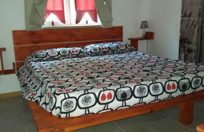 Oca Giuliva - Foto 2