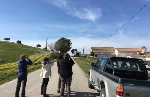 Casa da Avó Tina - Apartamento - Foto 21