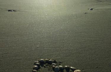 CàSolare Country House - Foto 25