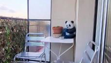 Appartement F3 proche de la mer - Foto 3