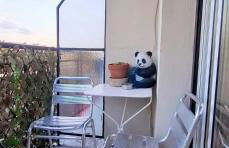 Appartement F3 proche de la mer - Foto 3