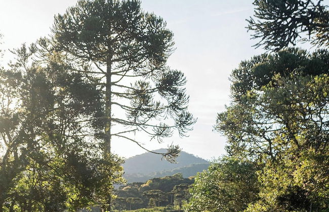 Chalé Diamante Negro - Urubici - SC - Foto 2