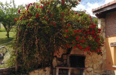 Casa las Niñas - Photo 34