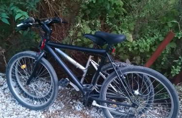 Sol's Place - Photo 24