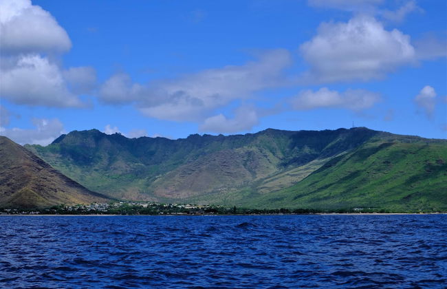 Studio Nene by AvantStay | Chic, Cozy, King Bed - Foto 28